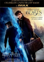 Все фильмы о Гарри Поттере впервые покажут в IMAX